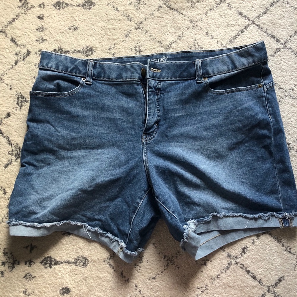 Plus size Shorts - size 20 - Terra and Sky
